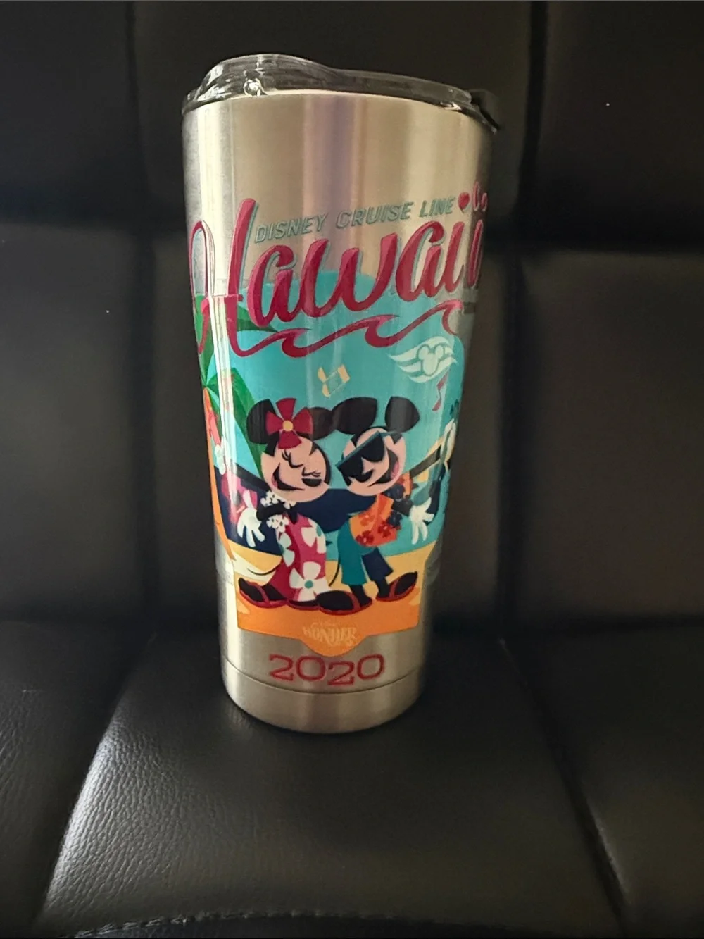 Tervis Tumbler- Disney Cruise Line